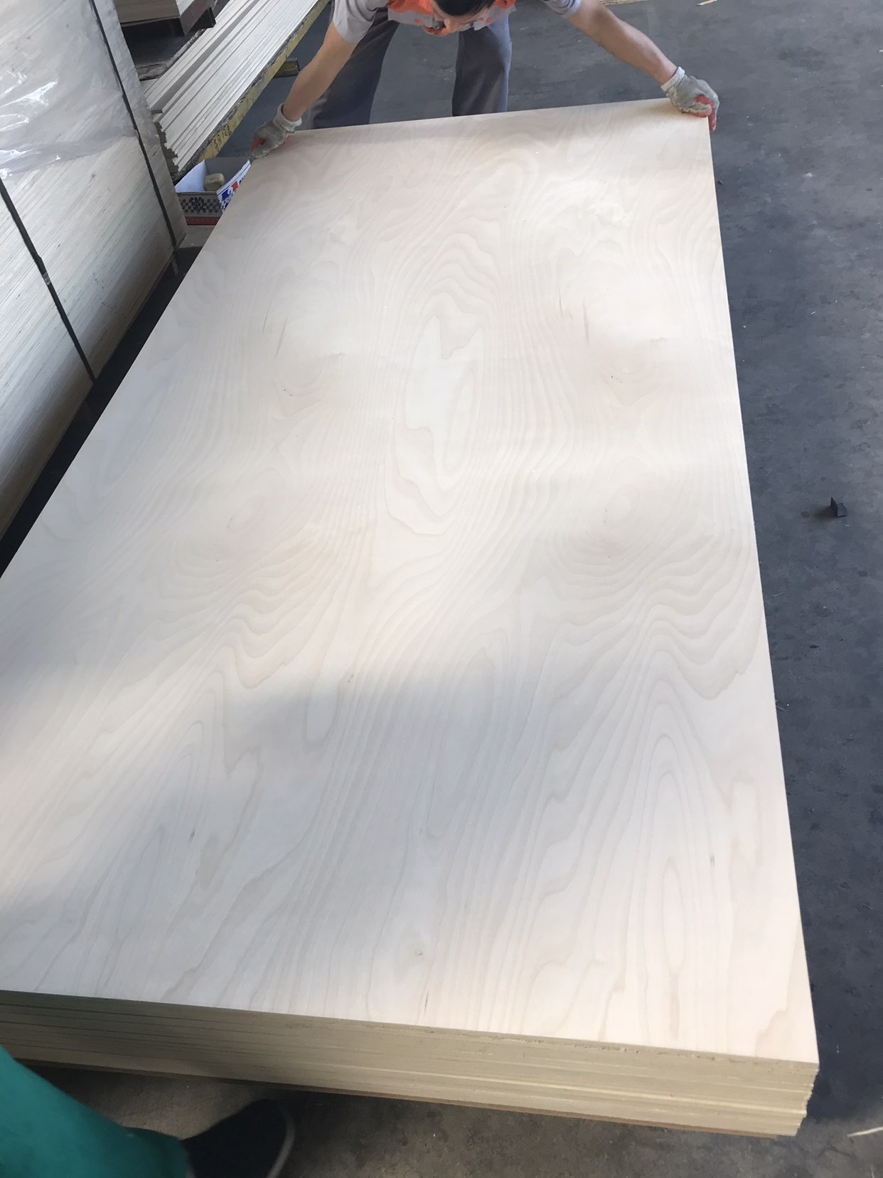 birch plywood 1